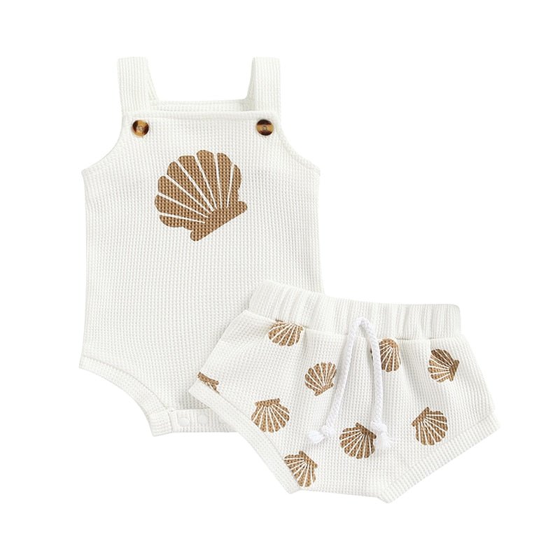 Seashell Set