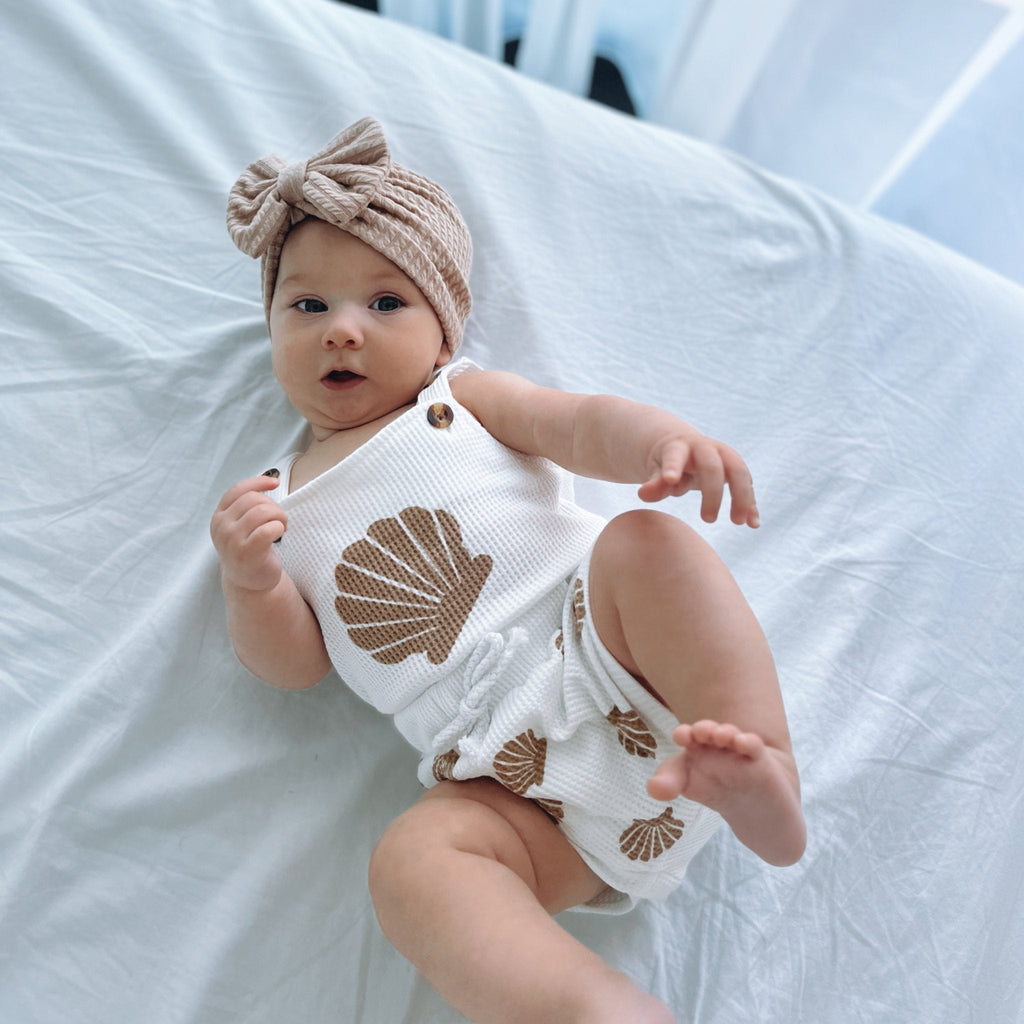Seashell Set