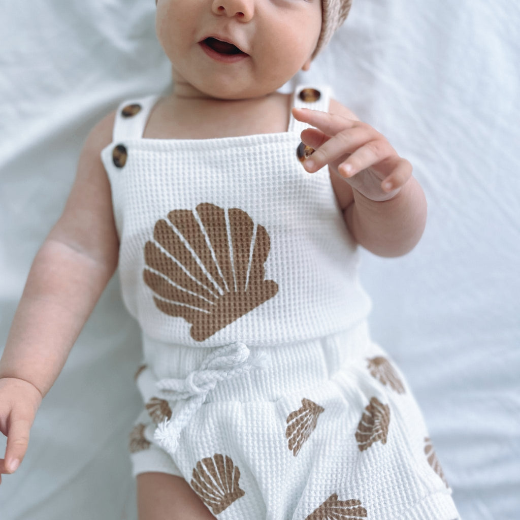 Seashell Set